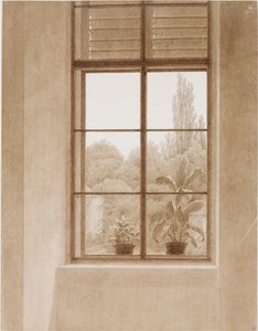 Ventana con vista al parque